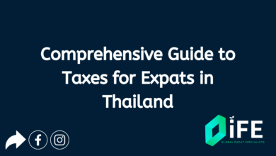 UK Investment Visa for Expats: A Comprehensive Guide